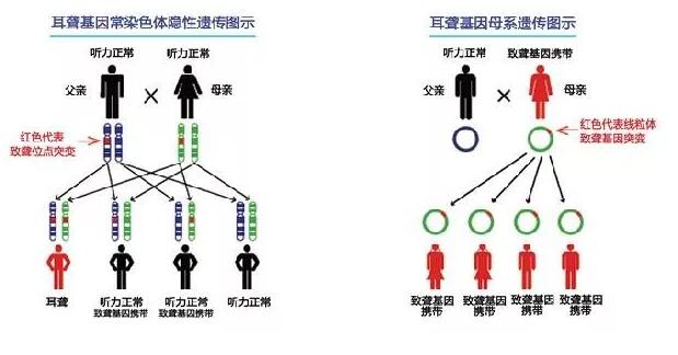 QQ截图20171106161418.jpg