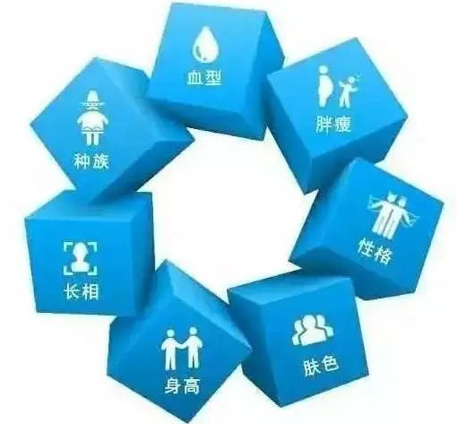 微信图片_20210112170229.jpg